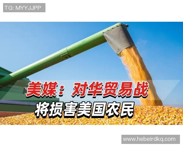 美国政府指责汉达诺维奇涉嫌违反贸易禁令，背后的真相让人震惊